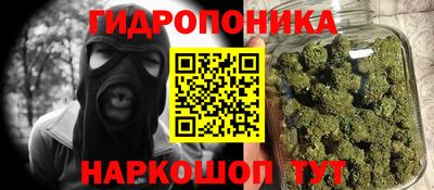 индика Северобайкальск