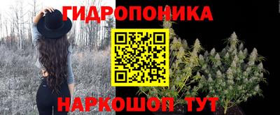 индика Северобайкальск