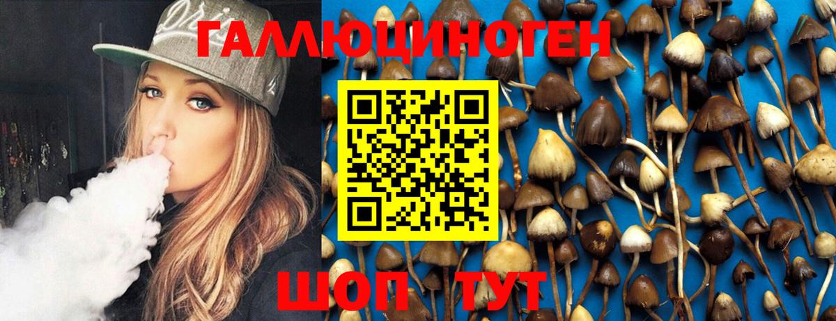Псилоцибиновые грибы GOLDEN TEACHER Сухой Лог