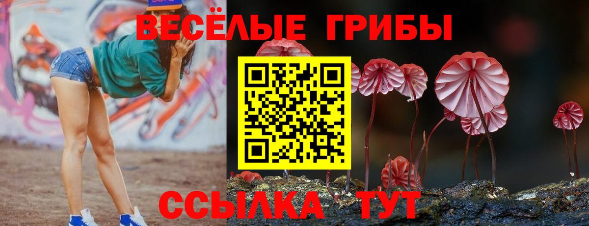 Сухой Лог  Галлюциногенные грибы MAGIC MUSHROOMS  где найти наркотики  Вход с VPN 